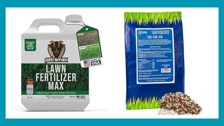 Top 10 Best Lawn Care Services for Fertilizer You Can Trust