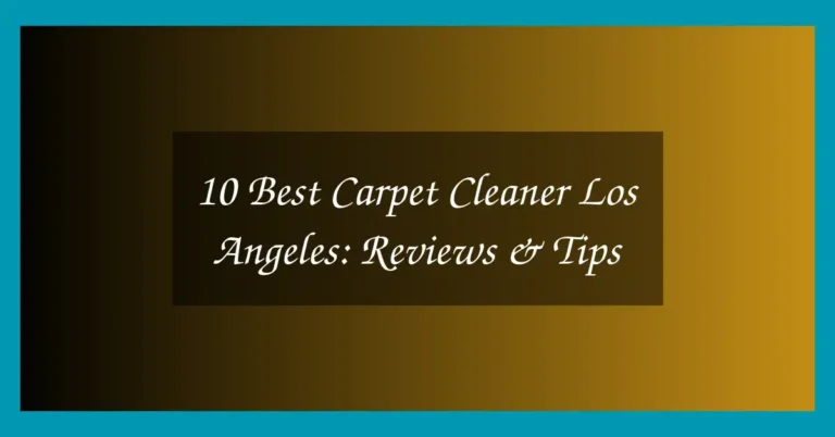 10 Best Carpet Cleaner Los Angeles: Reviews & Tips