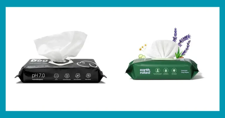 10 Best Dog Wipes for Body: Keep Your Pup Fresh and Clean 9 10 Best Dog Wipes for Body: Keep Your Pup Fresh and Clean