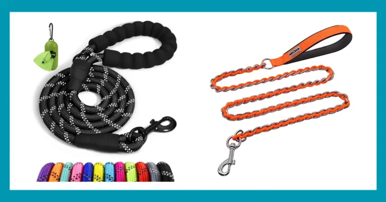 10 Best Leashes for Dogs That Pull and Chew: Ultimate Guide 10 10 Best Leashes for Dogs That Pull and Chew: Ultimate Guide