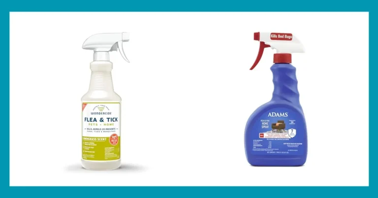 Top 10 Picks for the Best House Spray for Fleas Reviewed 2 Top 10 Picks for the Best House Spray for Fleas Reviewed