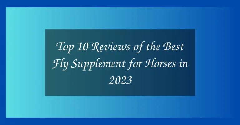 Top 10 Reviews of the Best Fly Supplement for Horses in 2023 21 Top 10 Reviews of the Best Fly Supplement for Horses in 2023