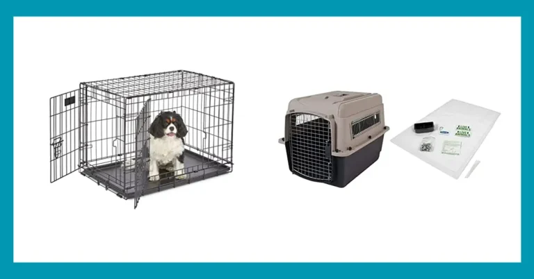 Top Dog Crates for German Shepherds: Find the Perfect Fit 4 Top Dog Crates for German Shepherds: Find the Perfect Fit
